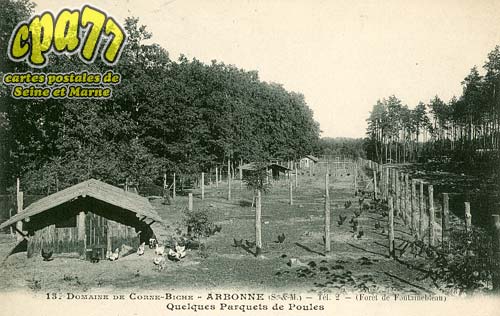Arbonne La Fort - Domaine de Corne-Biche - Quelques parquets de Poules