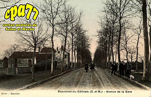 Beaumont Du Gtinais - Avenue de la Gare