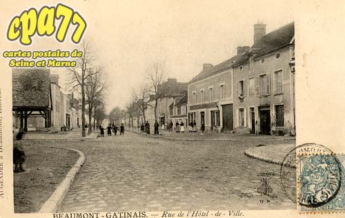 Beaumont Du Gtinais - Rue de l'Htel-de-Ville