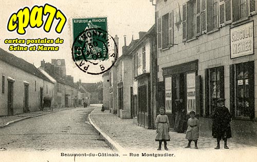 Beaumont Du Gtinais - Rue Montgaudier