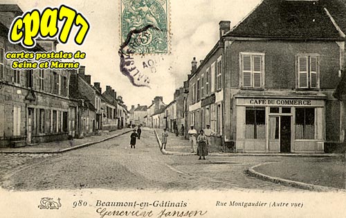 Beaumont Du Gtinais - Rue Montgaudier (autre vue)