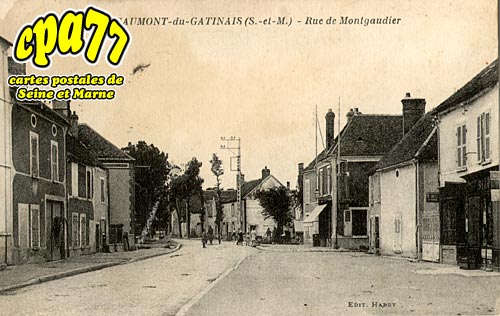 Beaumont Du Gtinais - Rue Montgaudier
