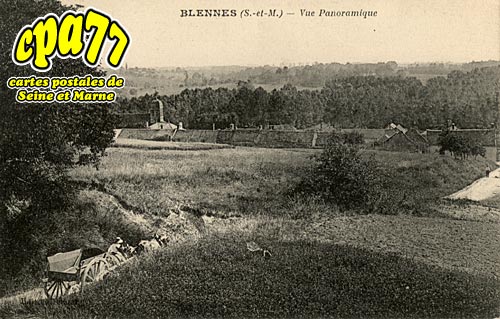 Blennes - Vue panoramique