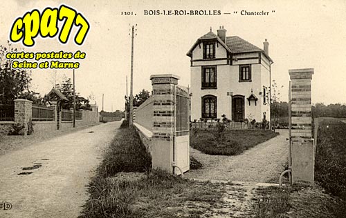 Bois Le Roi - Brolles - 