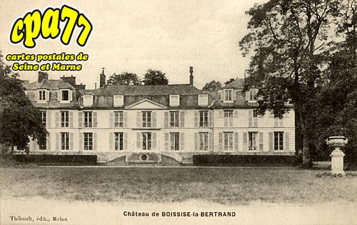 Boissise La Bertrand - Le Chteau