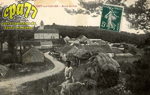 Boissy Aux Cailles - Route du Fiet