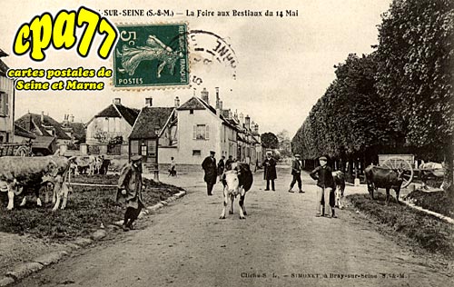 Bray Sur Seine - La Foire aux Bestiaux du 14 Mai