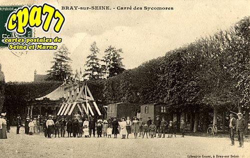 Bray Sur Seine - Carr des Sycomores