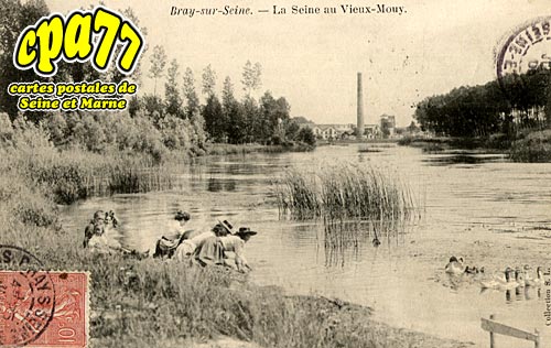 Bray Sur Seine - La Seine au Vieux-Mouy