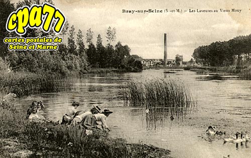 Bray Sur Seine - Les Laveuses au Vieux-Mouy