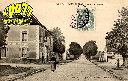 Bray Sur Seine - Avenue des Mousseaux