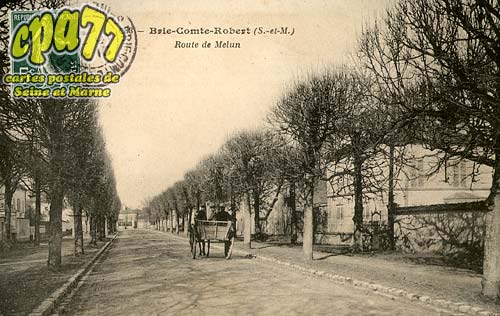 Brie Comte Robert - Route de Melun