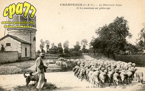 Champeaux - Le Rservoir d'eau et les moutons au pturage