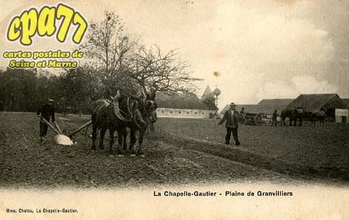 La Chapelle Gauthier - Plaine de Granvilliers