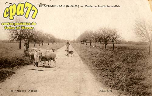 Châteaubleau - Route de La-Croix-en-Brie