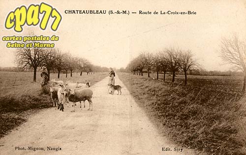 Chteaubleau - Route de La-Croix-en-Brie