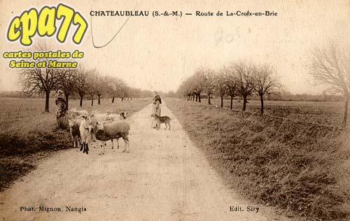 Chteaubleau - Route de la Croix-en-Brie