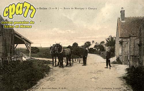 Chtenay Sur Seine - Route de Montigny  Chaupry