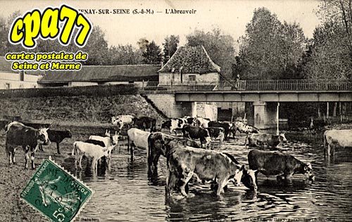 Chtenay Sur Seine - L'Abreuvoir