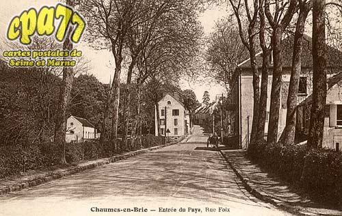 Chaumes En Brie - Entre du Pays, Rue Foix