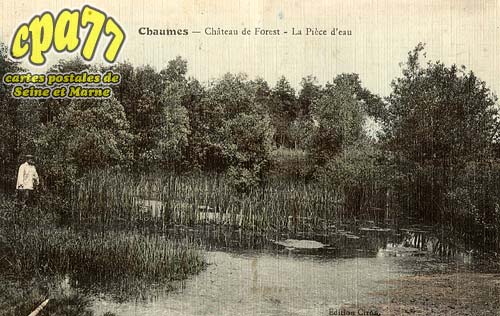 Chaumes En Brie - Chteau de Forest - La Pice d'eau