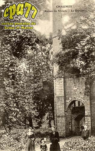 Chaumes En Brie - Ruines du Viviers - Le Donjon