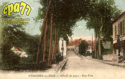 Chaumes En Brie - Entre du pays - Rue Foix