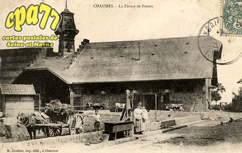 Chaumes En Brie - La Ferme de Forest