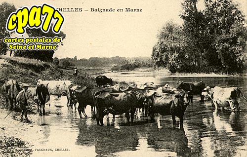 Chelles - Baignade en Marne