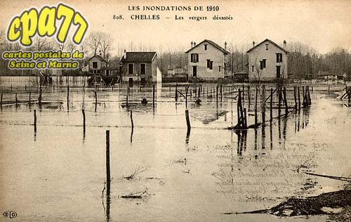 Chelles - Les Inondations de 1910 - Chelles - Les vergers dvasts