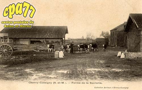 Chevry Cossigny - Ferme de la Sucrerie