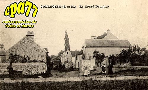 Collgien - Le Grand Peuplier