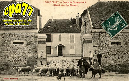 Courpalay - Ferme de Champrenard - Dpart pour les Champs