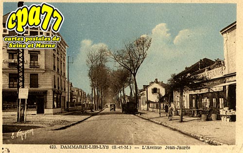 Dammarie Les Lys - L'Avenue Jean-Jaurs