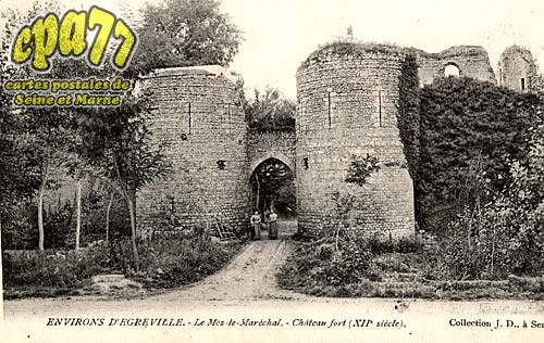 Diant - Environs d'Egreville - Le Mez-le-Marchal - Chteau fort (XIIe sicle)