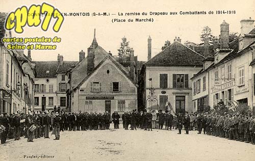Donnemarie Dontilly - La Remise du Drapeau aux Combattants de 1914-1918 (Place du March)