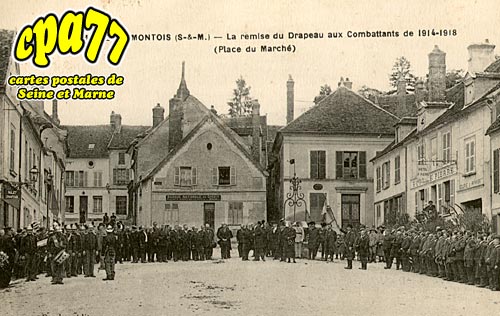 Donnemarie Dontilly - Donnemarie-en-Montois - La remise du Drapeu aux Combattants de 1914-1918 (Place du March)