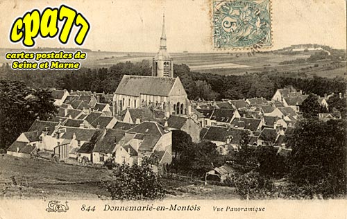 Donnemarie Dontilly - Vue panoramique