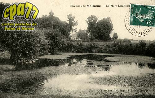 merainville - Environs de Malnoue - La Mare Lambuche