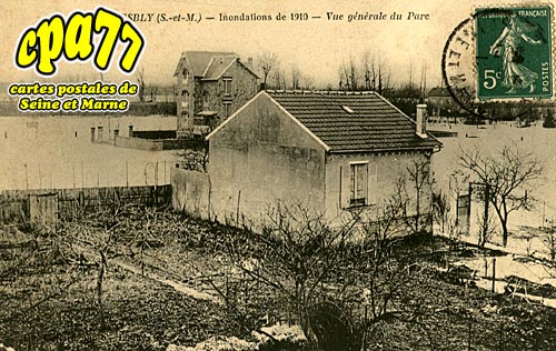 Esbly - Inondations de 1910 - Vue gnrale du Parc
