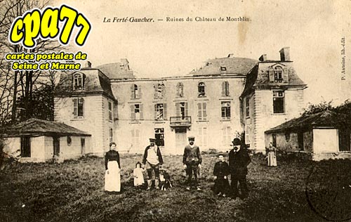 La Fert Gaucher - Ruines du Chteau de Montblin