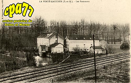 La Fert Gaucher - Les Ramonets