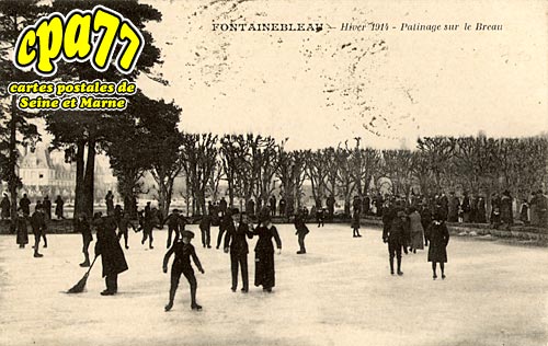 Fontainebleau - Hiver 1914 - Patinage sur le Breau