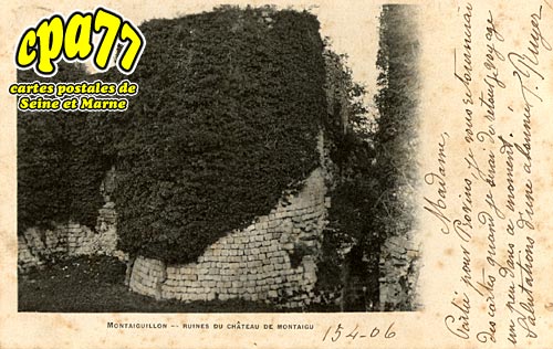 Fontaine Sous Montaiguillon - Montaiguillon - Ruines du Chteau de Montaigu