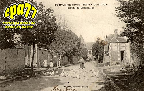 Fontaine Sous Montaiguillon - Route de Villenauxe