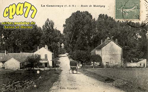 La Genevraye - Route de Montigny