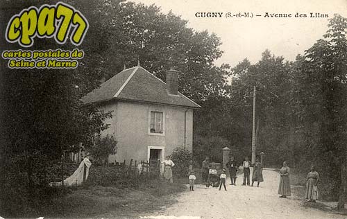La Genevraye - Cugny - Avenue des Lilas
