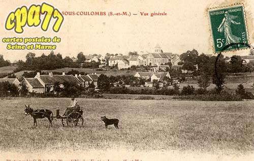 Germigny Sous Coulombs - Vue gnrale