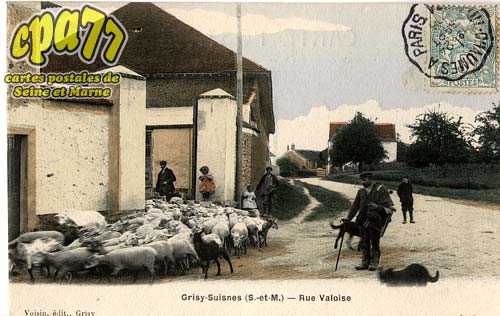 Grisy Suisnes - Rue Valoise