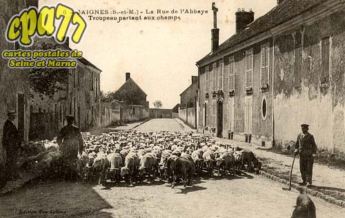 Jaignes - La Rue de l'Abbaye - Troupeau partant aux champs